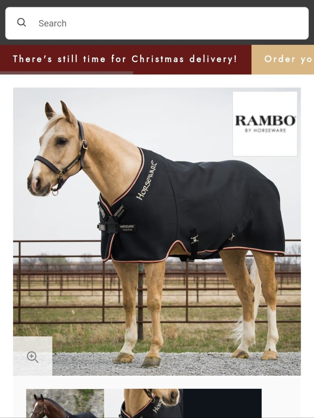 78" Horseware Rambo AirMax Cooler w/ Disc Front